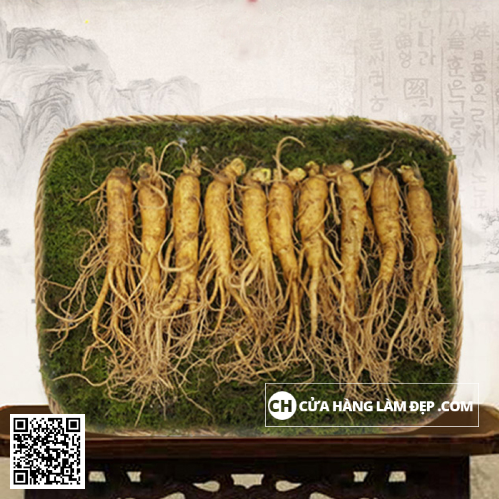 Nhân Sâm Tươi Hàn Quốc (1kg)