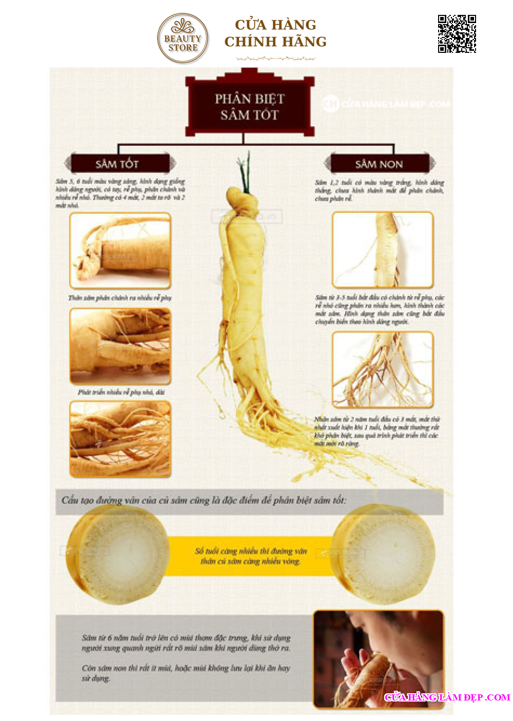 Nhân Sâm Tươi Hàn Quốc (1kg)