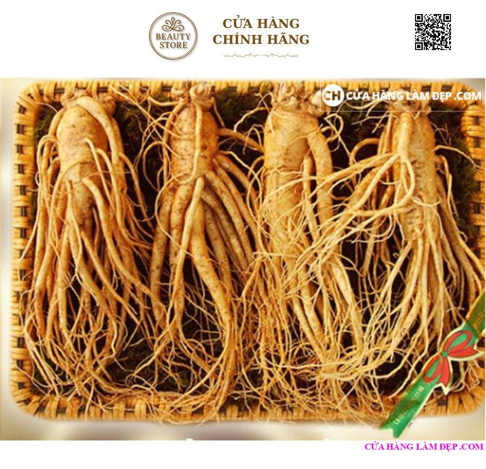 Nhân Sâm Tươi Hàn Quốc (1kg)