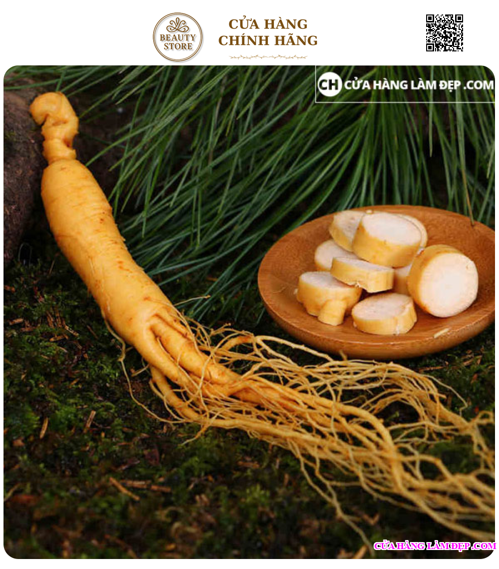 Nhân Sâm Tươi Hàn Quốc (1kg)