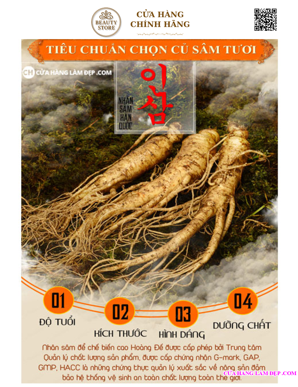 Nhân Sâm Tươi Hàn Quốc (1kg)