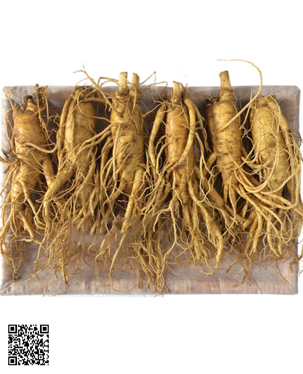 Nhân Sâm Tươi Hàn Quốc 6 củ/kg