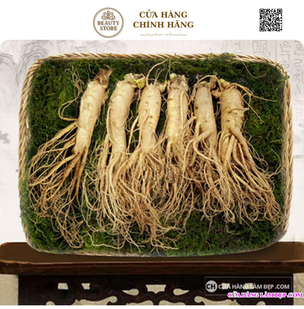 Nhân Sâm Tươi Hàn Quốc 6 củ/kg