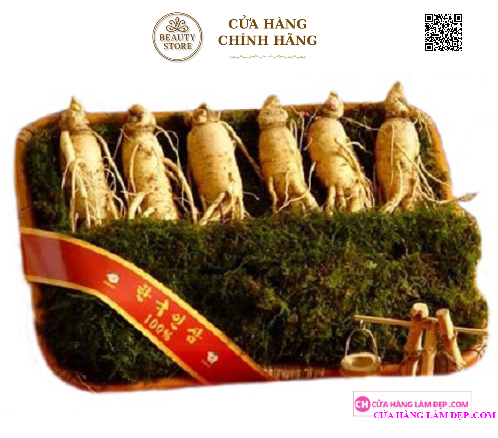 Nhân Sâm Tươi Hàn Quốc 6 củ/kg