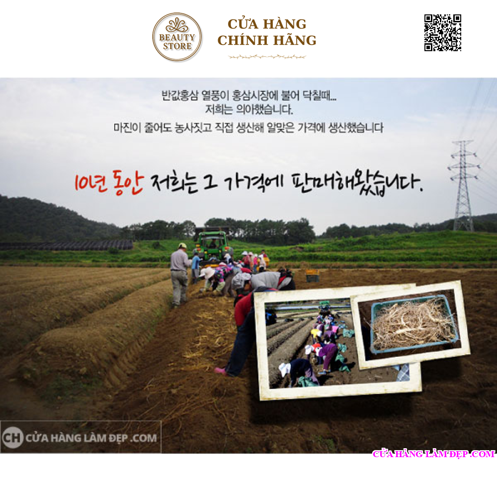 Nhân Sâm Tươi Hàn Quốc 6 củ/kg