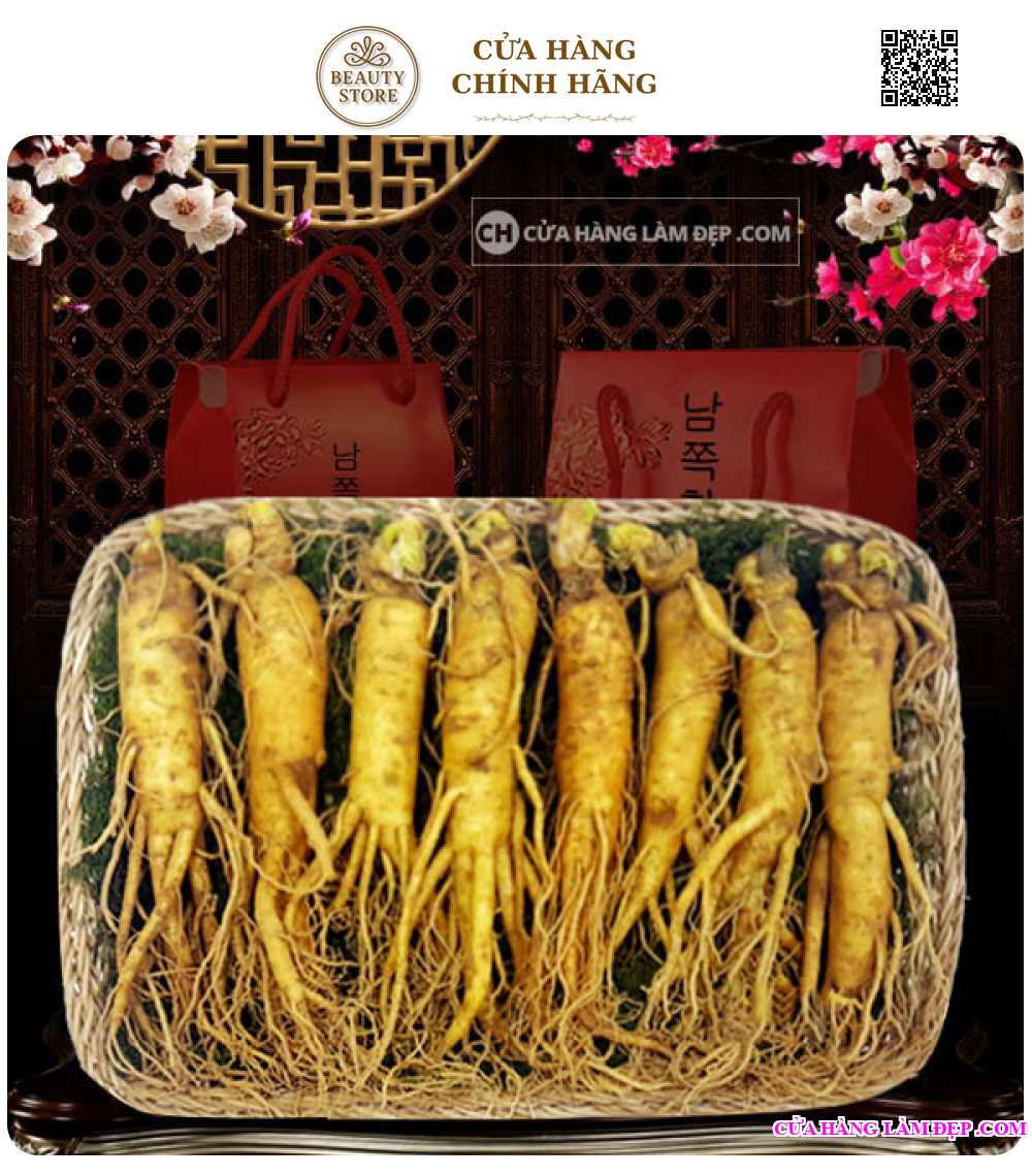 Nhân Sâm Tươi Hàn Quốc 8 củ/kg