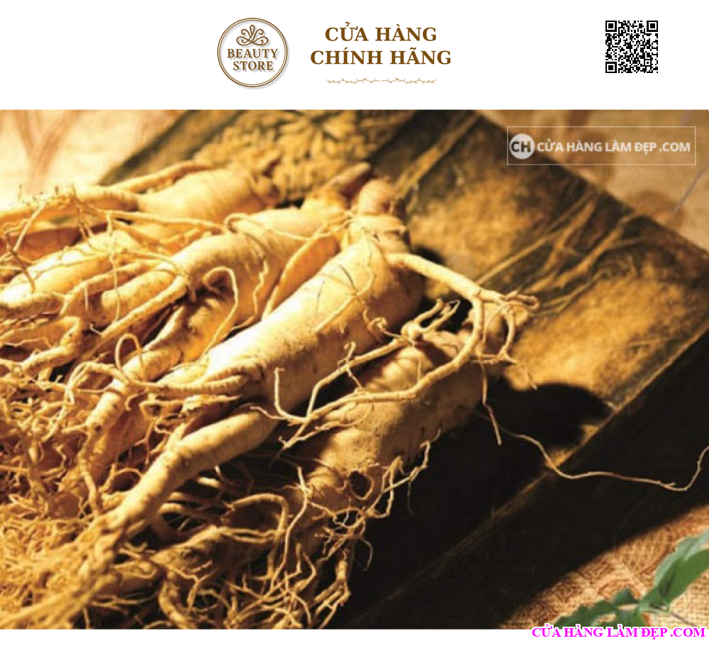 Nhân Sâm Tươi Hàn Quốc 8 củ/kg