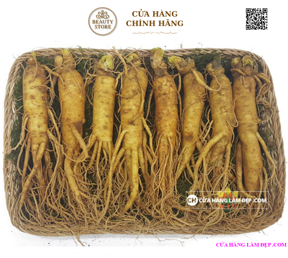 Nhân Sâm Tươi Hàn Quốc 8 củ/kg