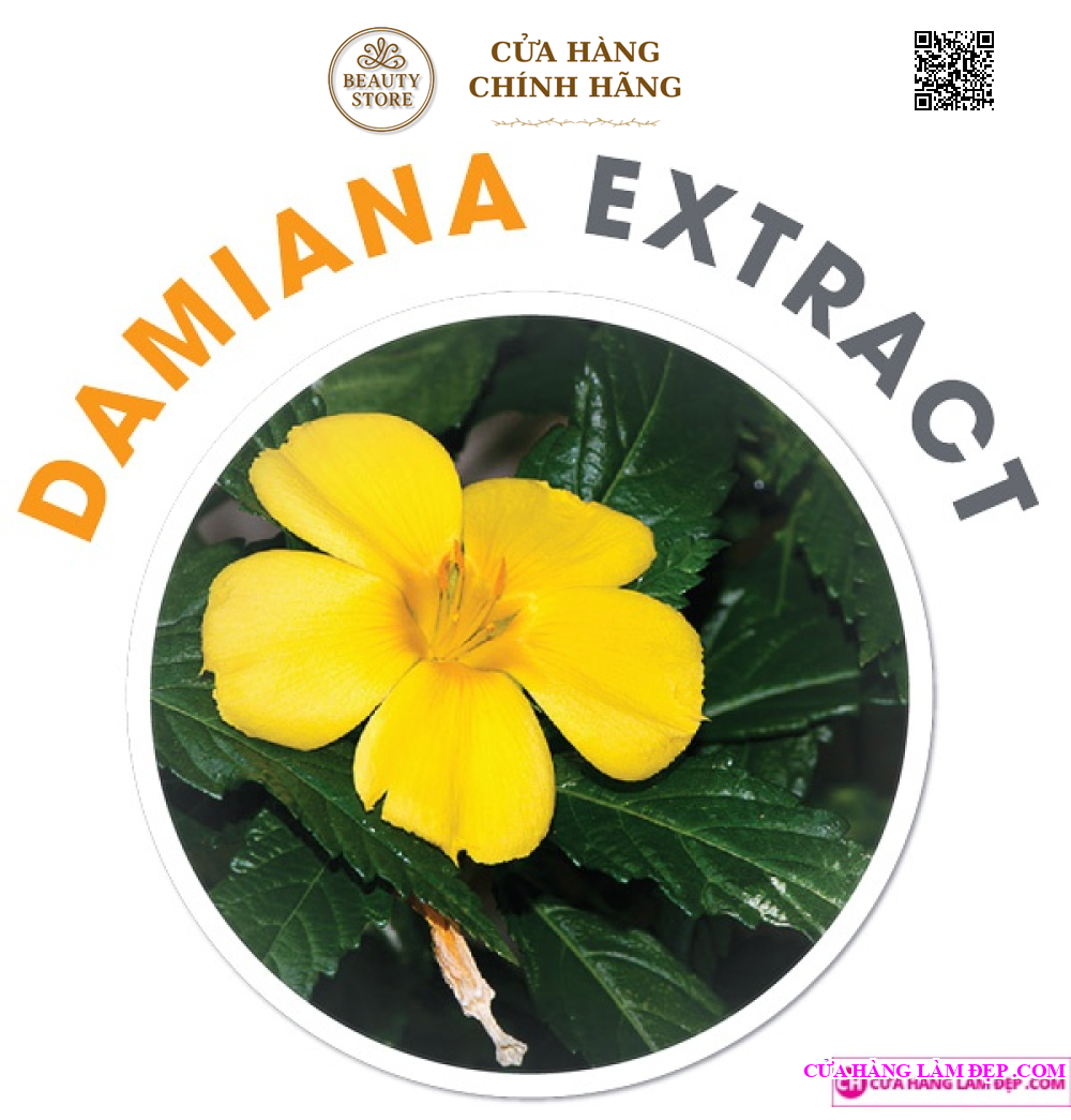 Viên uống giảm cân OZ SLIM (40 Viên)