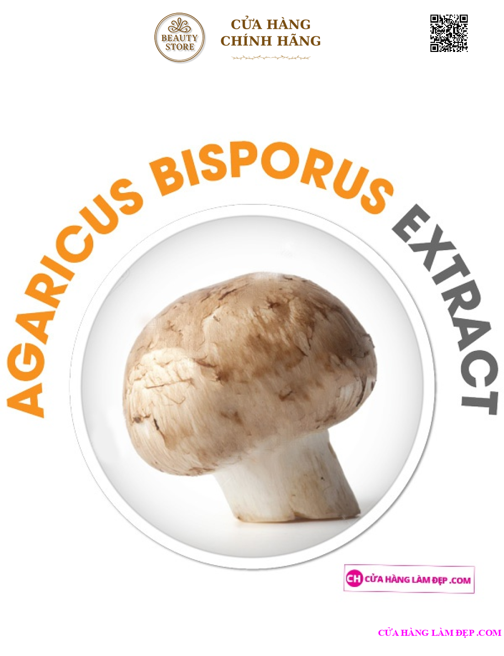 Viên uống giảm cân OZ SLIM (40 Viên)