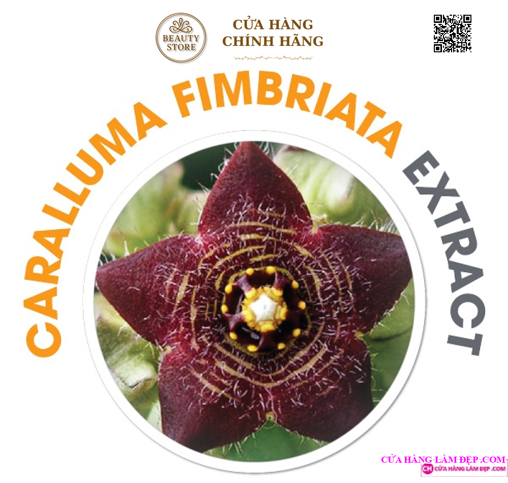 Viên uống giảm cân OZ SLIM (40 Viên)