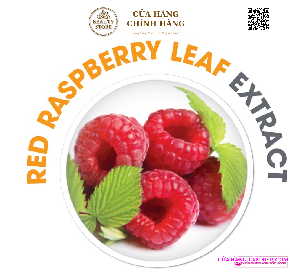 Viên uống giảm cân OZ SLIM (40 Viên)