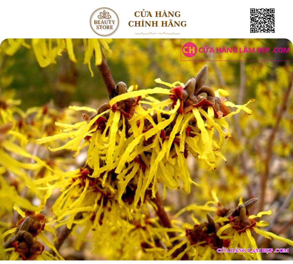 Kem Dưỡng Bảo Vệ Da Nhạy Cảm Thalgo Bio Protective Cream