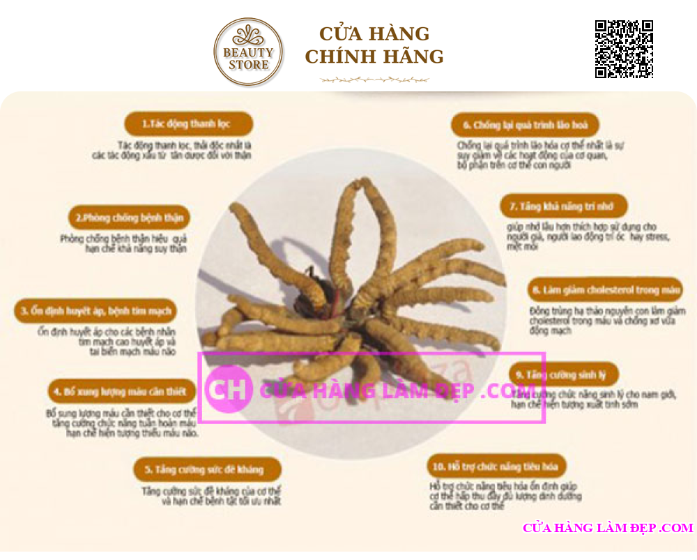 Viên Đông Trùng Hạ Thảo Tohchukasou Royal Gold Nhật Bản