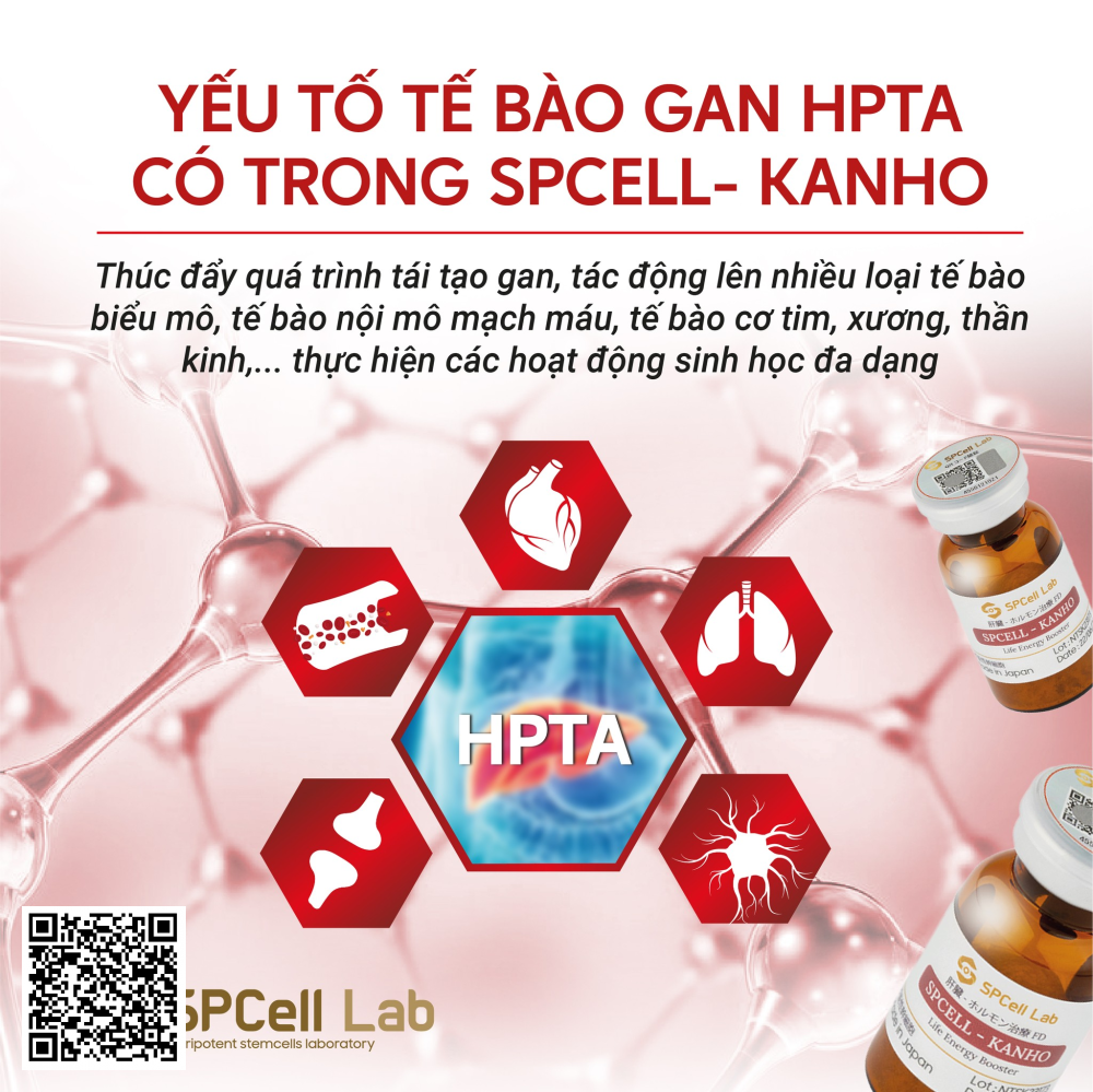 Tế Bào Phục Hồi Gan Spcell Lab Spcell Kanho Nhật Bản .