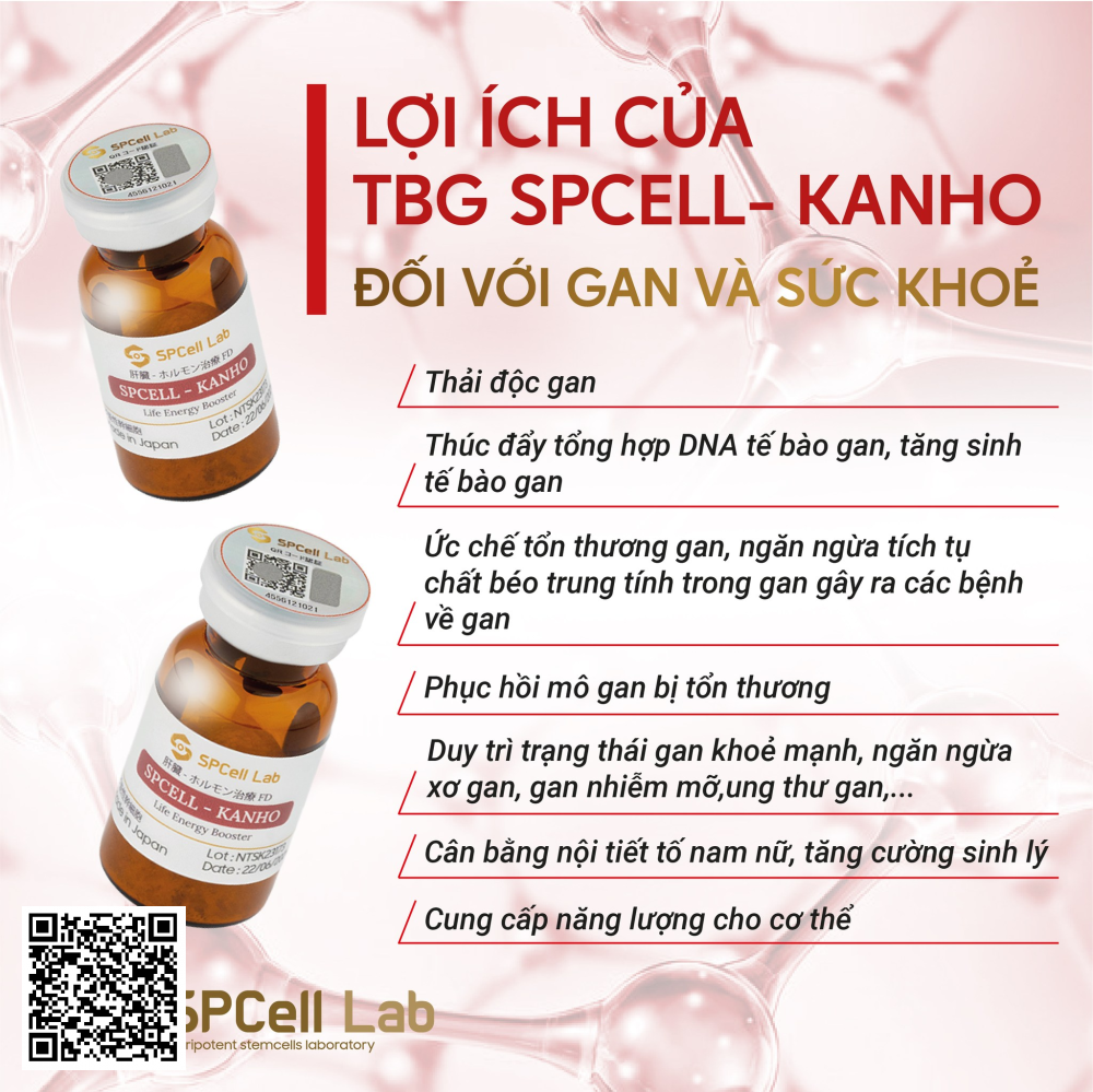Tế Bào Phục Hồi Gan Spcell Lab Spcell Kanho Nhật Bản .