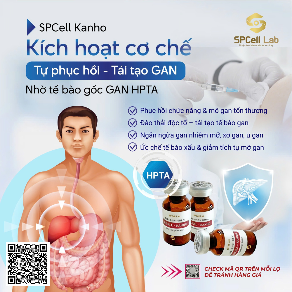 Tế Bào Phục Hồi Gan Spcell Lab Spcell Kanho Nhật Bản .