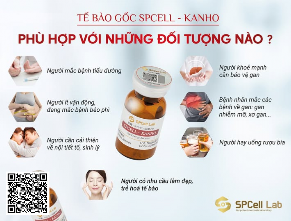 Tế Bào Phục Hồi Gan Spcell Lab Spcell Kanho Nhật Bản .