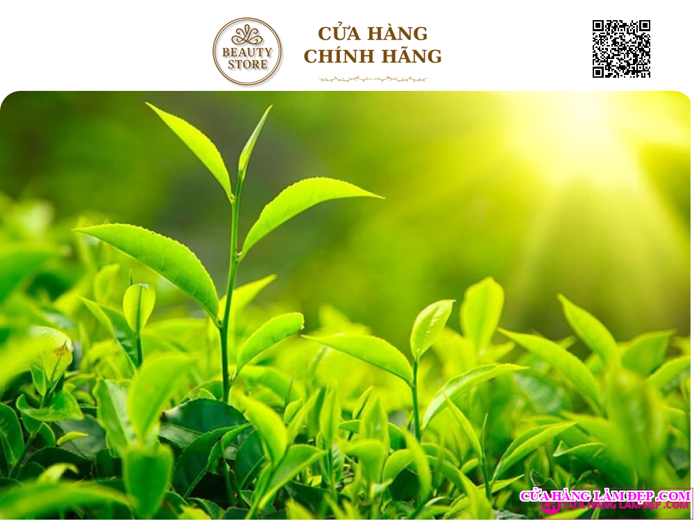 Gel Massage Tiêu Mỡ Be-Max Remoduline Draina