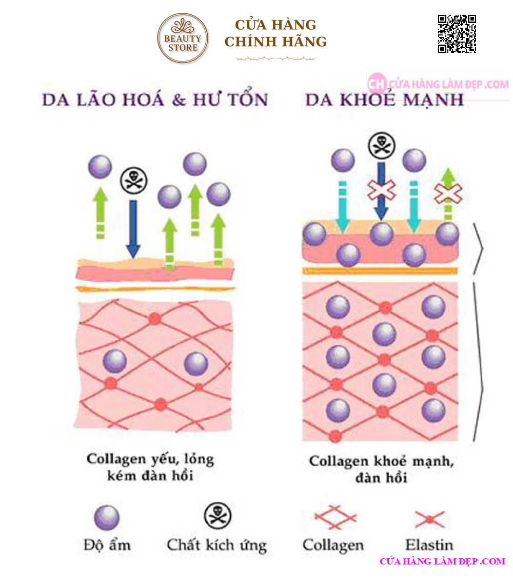 Collagen Youtheory Type 1 2 & 3 (290 Viên)